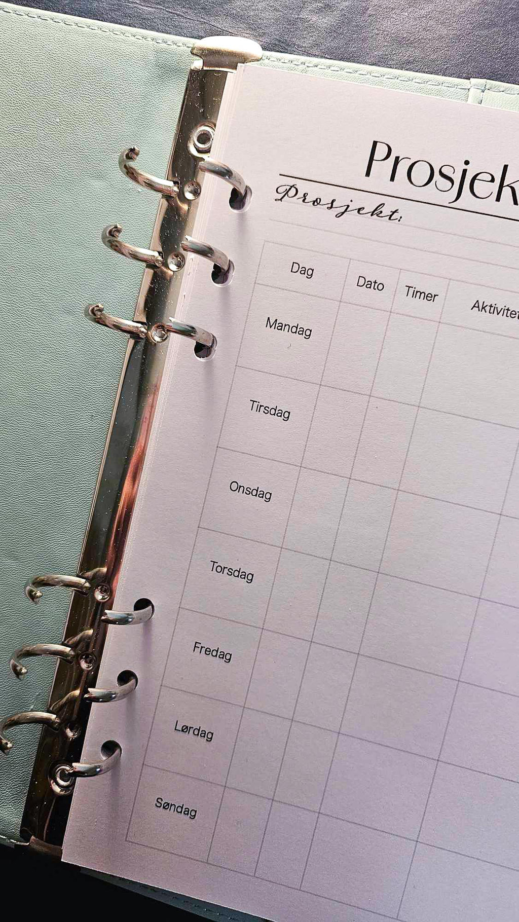 Prosjektkalender (med hullfeil) 12 uker - 25,-