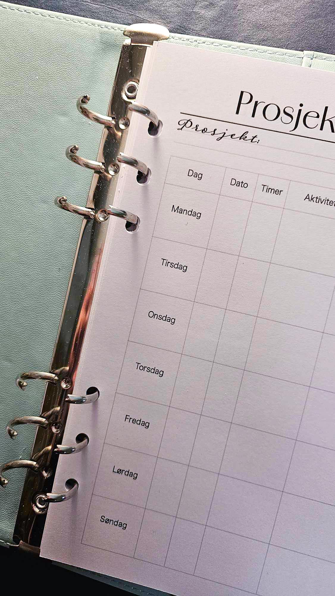 Prosjektkalender (med hullfeil) 12 uker - 25,-