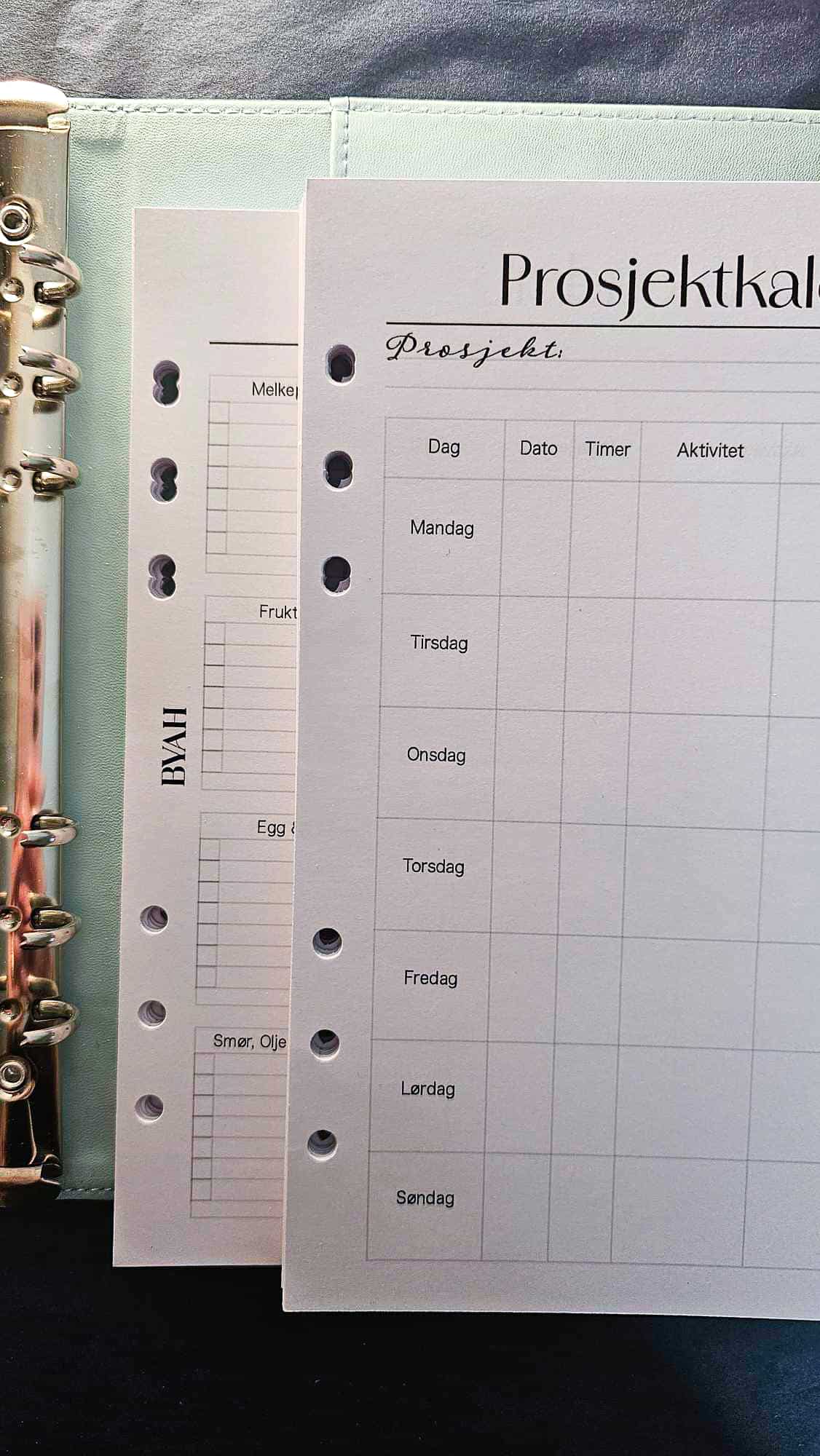 Prosjektkalender (med hullfeil) 12 uker - 25,-
