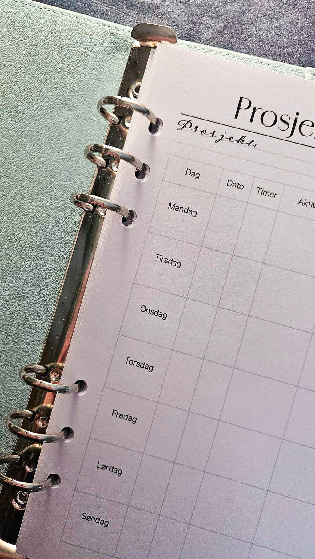 Prosjektkalender (med hullfeil) 12 uker - 25,-